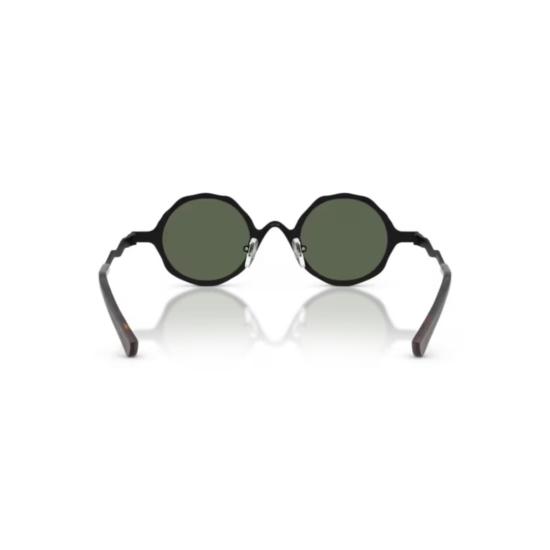 26SS 엠포리오 아르마니 선글라스 0EA2166 3001 2