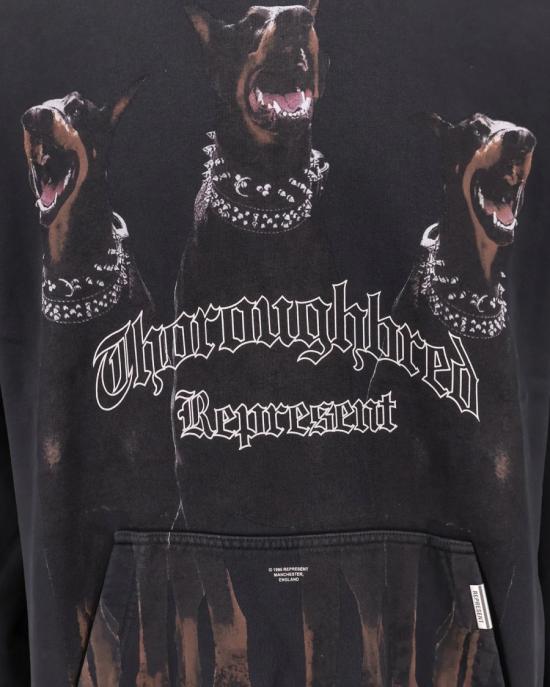 26SS 리프레젠트 후드 티셔츠 2578771 Black - REPRESENT