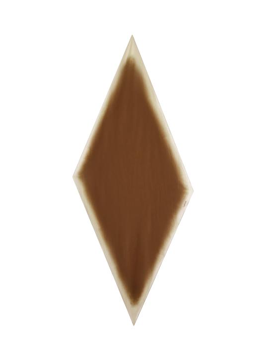 26SS 라르디니 머플러/스카프 PAFOU12 PA66172450 Brown