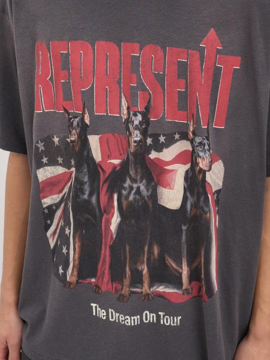 26SS 리프레젠트 반팔 티셔츠 NMLM10059346 Grey - REPRESENT