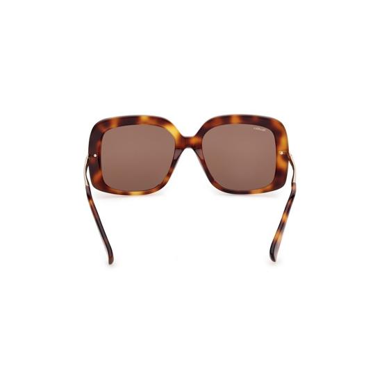 막스마라 선글라스 MM0195 52E Havana - MAX MARA