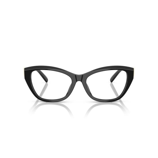 26SS 티파니앤코 선글라스 0TF2268U 8001 - TIFFANY & CO