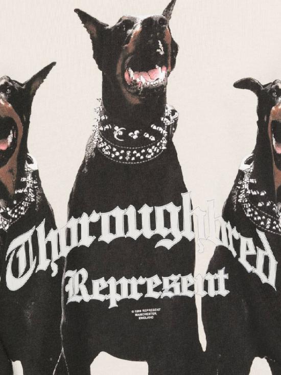 26SS 리프레젠트 반팔 티셔츠 MLM41135 002 VINTAGE WHITE - REPRESENT