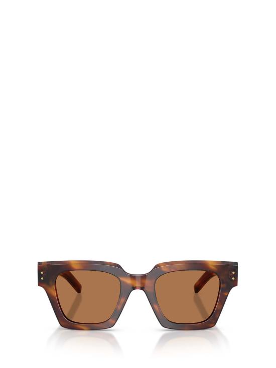 26FW 돌체앤가바나 선글라스 DG4413 306373 VINTAGE HAVANA
