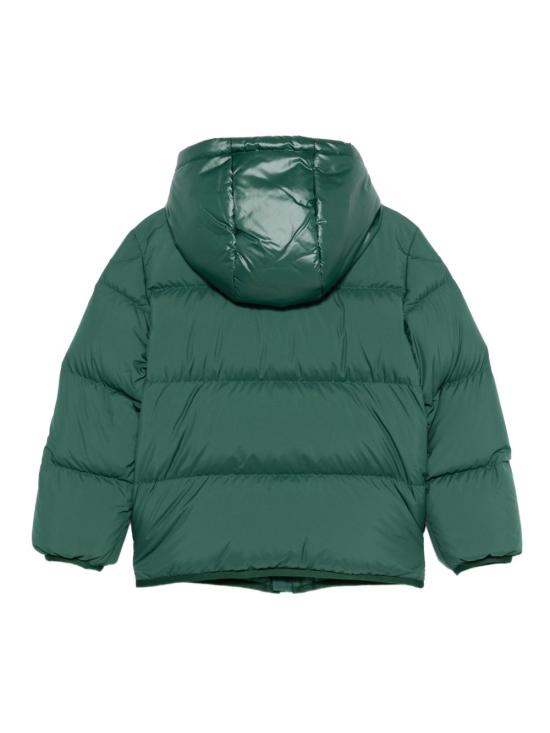 25FW [키즈] 몽클레어 패딩 K29541A00079597YW 866 Green - MONCLER