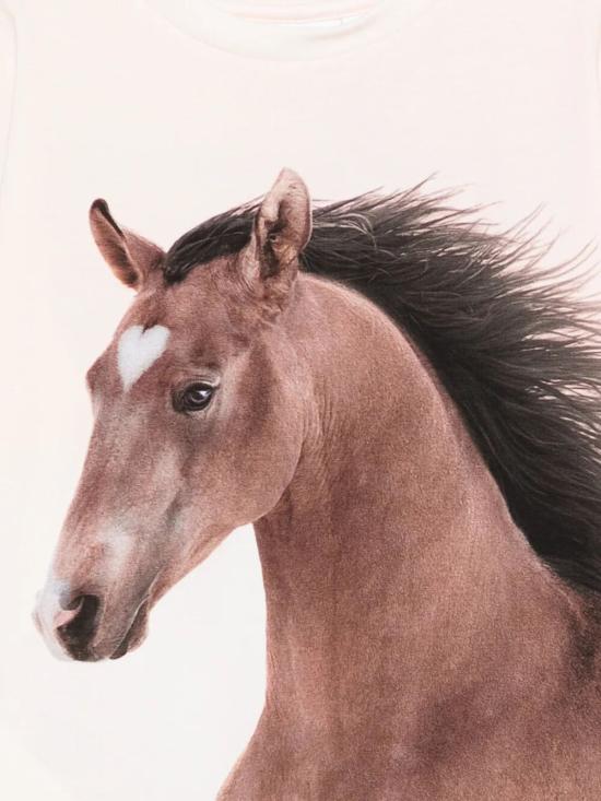 26SS [키즈] 몰로 티셔츠 2S26A216 5672 WILD PONY - MOLO