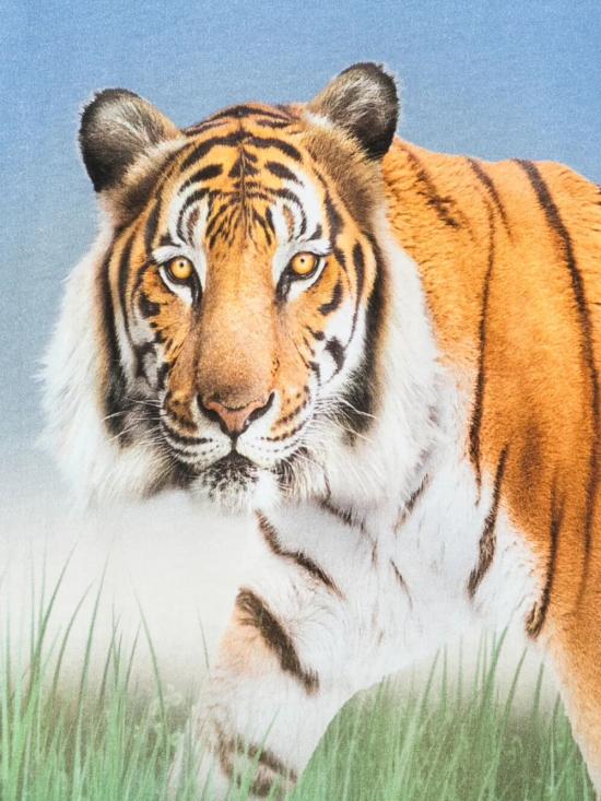 26SS [키즈] 몰로 티셔츠 1S26A217 9862 TIGER ON BLUE - MOLO