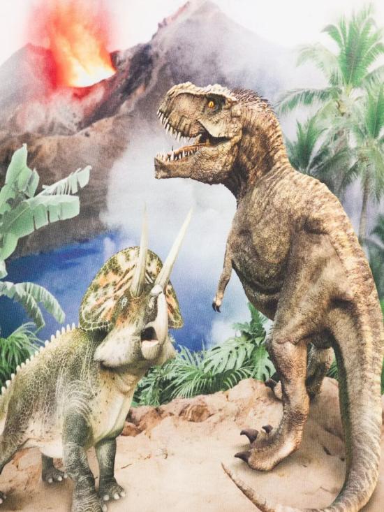 26SS [키즈] 몰로 티셔츠 1S26A208 9900 HOT SPRINGS DINOS - MOLO