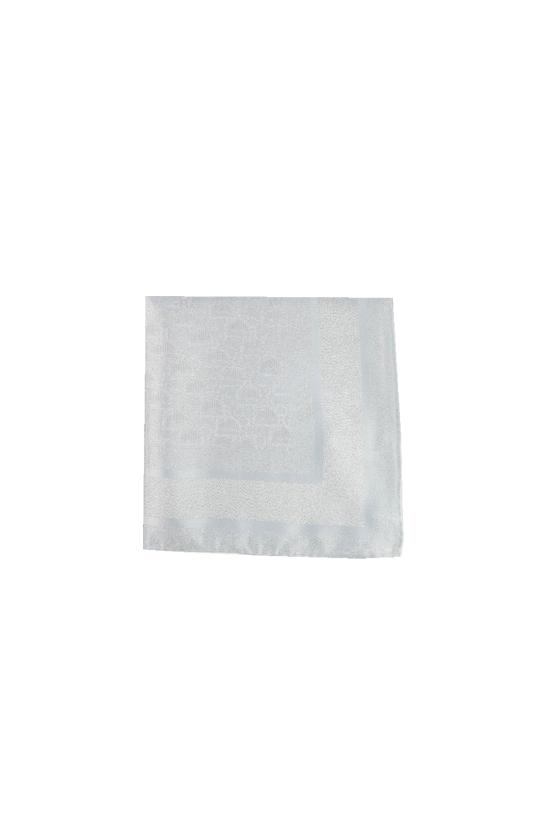 26SS 디올 머플러/스카프 61DOB090L018 C507 BLUE