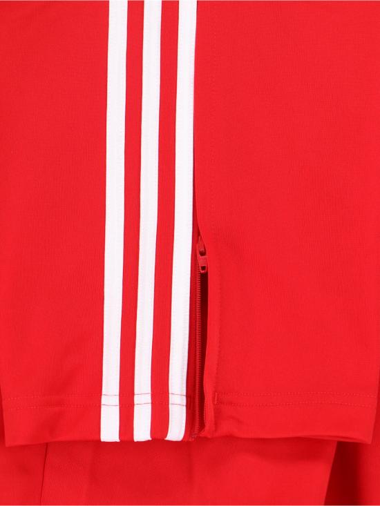 26SS 아디다스 스트레이트 팬츠 KD8319 BETSCA Red - ADIDAS
