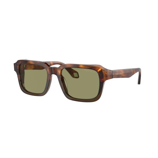 26SS 조르지오 아르마니 선글라스 0AR8194U 598814 - GIORGIO ARMANI