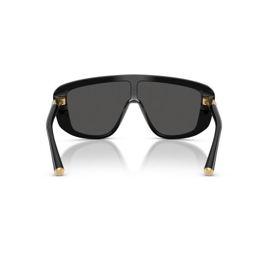 26SS 돌체앤가바나 선글라스 0DG4520 501 87 - DOLCE & GABBANA