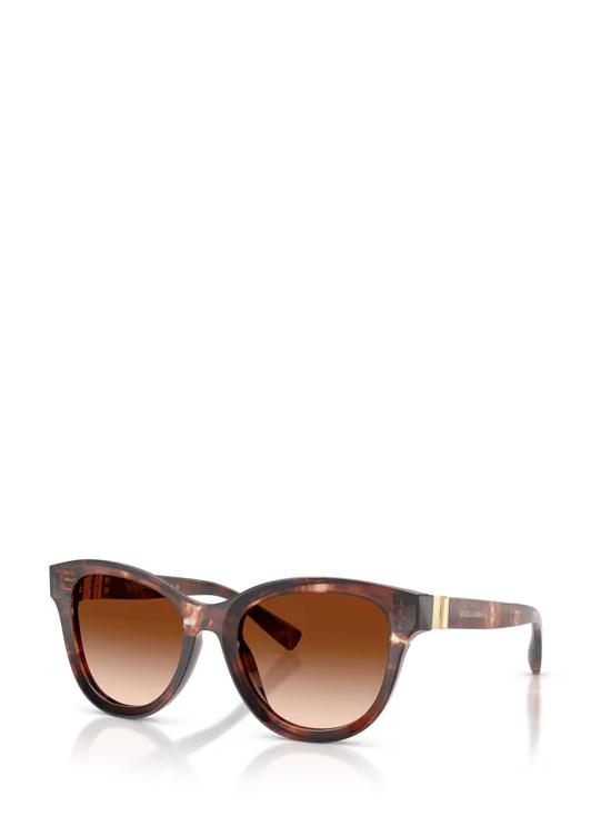 26FW 돌체앤가바나 선글라스 DG4533 322274 DARK RED HAVANA - DOLCE & GABBANA