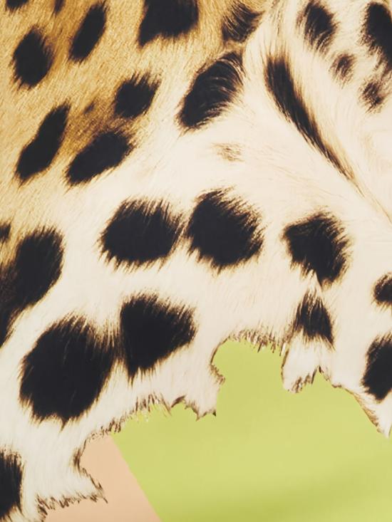 26SS 로베르토 카발리 미디 원피스 WQT102 OZR3304064 Light green - ROBERTO CAVALLI