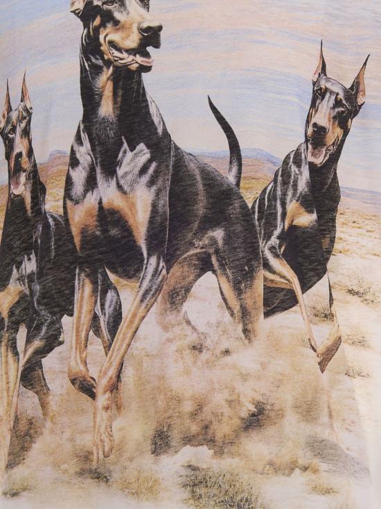 26SS 리프레젠트 반팔 티셔츠 MLM100665 072 White - REPRESENT