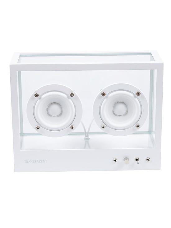  TRANSPARENT 가죽소품 STS W TRANSPARENTWHITE White