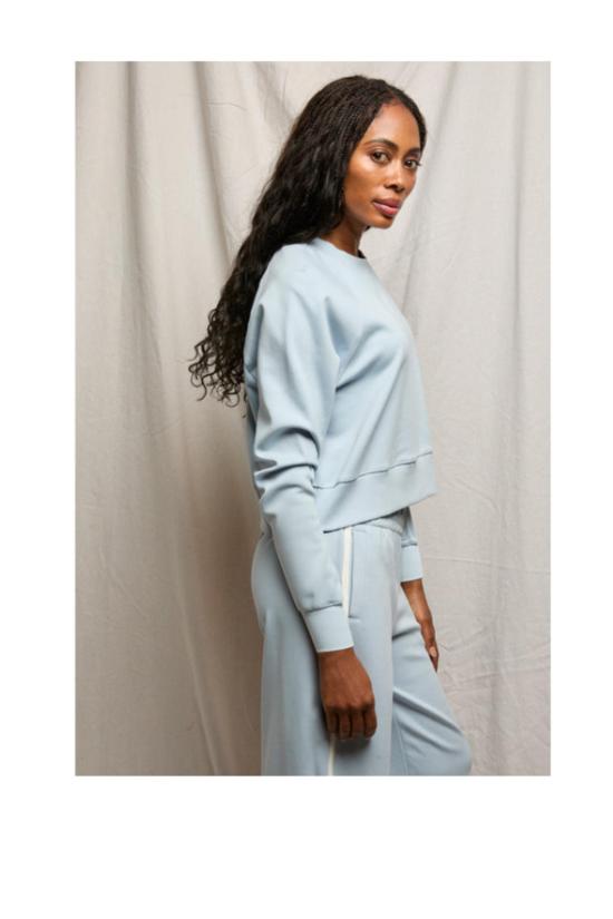  퍼펙트 화이트 티 스웨터 넬 트래블 크루넥 스웨트셔츠 파우더 블루 - PERFECT WHITE TEE