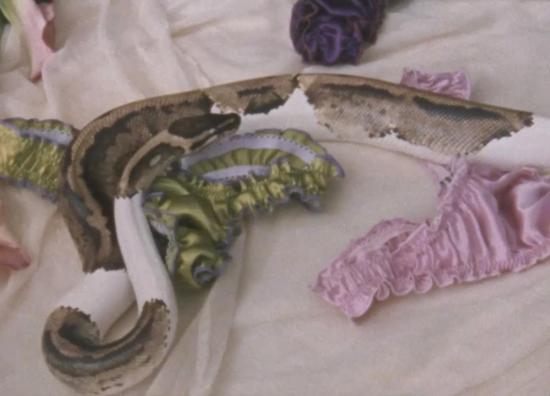  르 부두아르 로스앤젤레스 팬티 르부두아르로상젤레스 라 사미 연보라색 실크 탕가