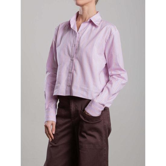  Pharaoh 셔츠 파라오 엔조 셔츠, 일본 스트라이프 라일락 색상 - PHARAOH
