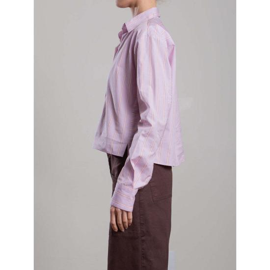  Pharaoh 셔츠 파라오 엔조 셔츠, 일본 스트라이프 라일락 색상 - PHARAOH