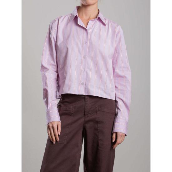  Pharaoh 셔츠 파라오 엔조 셔츠, 일본 스트라이프 라일락 색상