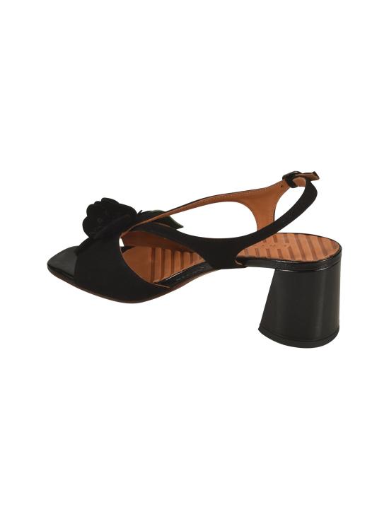 26SS 치에 미하라 힐/펌프스 RYMANE ABTE NEGRO Ante negro - CHIE MIHARA