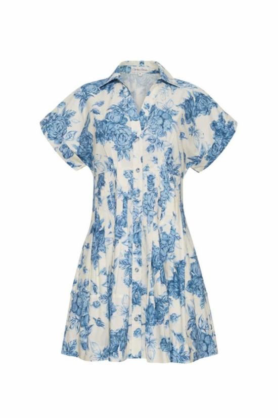  카라 카라 숏 원피스 내쉬 미니 드레스, 플로럴 블루 컬러