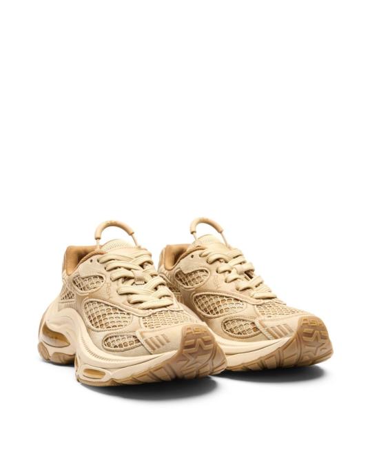 26SS 아쉬 스니커즈 3438022 Neutrals - ASH
