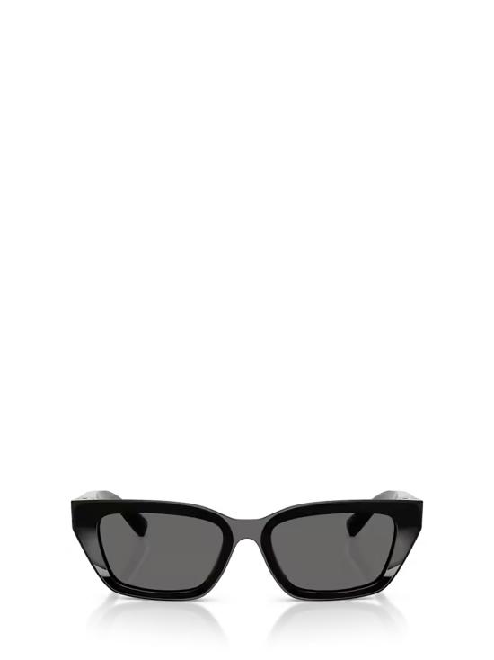 25FW 돌체앤가바나 선글라스 DG4532 501 87 BLACK