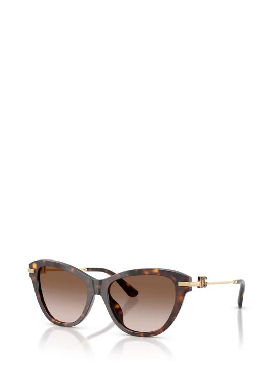 26FW 돌체앤가바나 선글라스 DG4534 502 13 HAVANA - DOLCE & GABBANA
