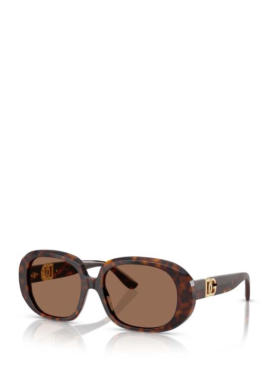 26FW 돌체앤가바나 선글라스 DG4476 502 73 HAVANA - DOLCE & GABBANA