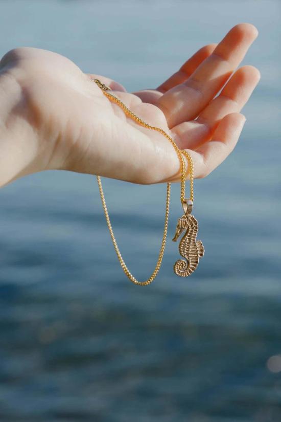  카라 유 목걸이/팬던트 해마 목걸이