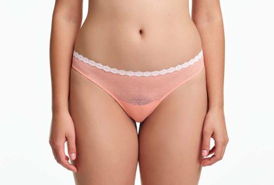  Yasmine Eslami 팬티 야스민 에슬라미 타마라 플라워 메시 레이스 끈 오렌지 블로섬 - OTHER BRANDS