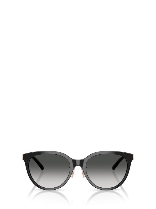 26FW 티파니앤코 선글라스 TF4243D 80013C BLACK
