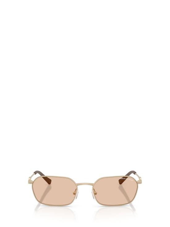 26FW 알마니 선글라스 AX2056S 612173 MATTE PALE GOLD