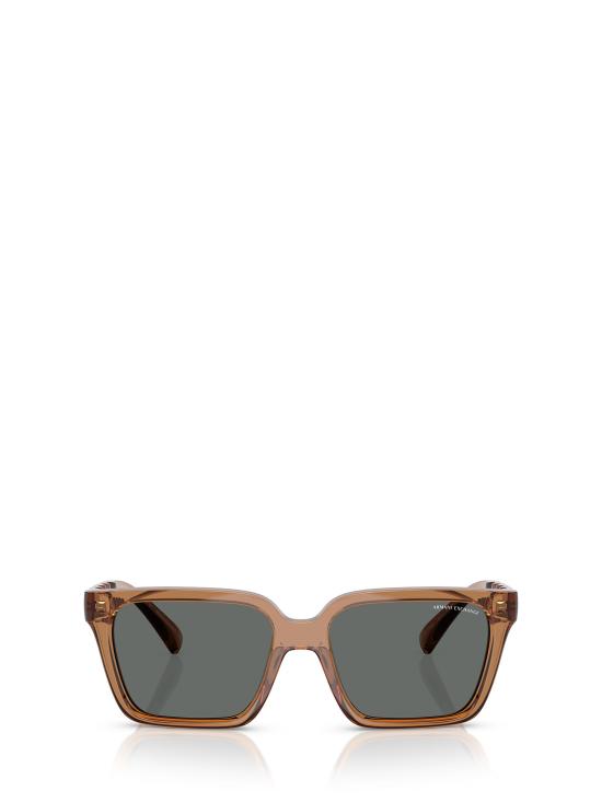 26FW 알마니 선글라스 AX4147S 835887 SHINY TRANSPARENT BROWN