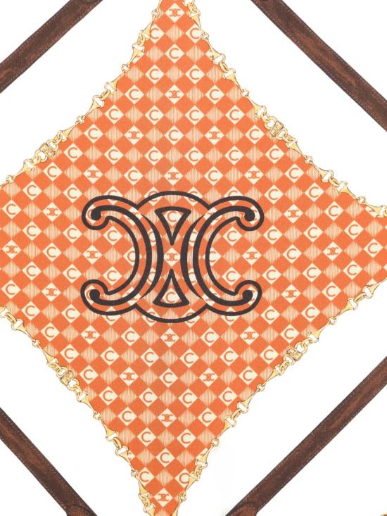 26SS 셀린느 머플러/스카프 2AWB6 3L30GAD9 MultiColour - CELINE