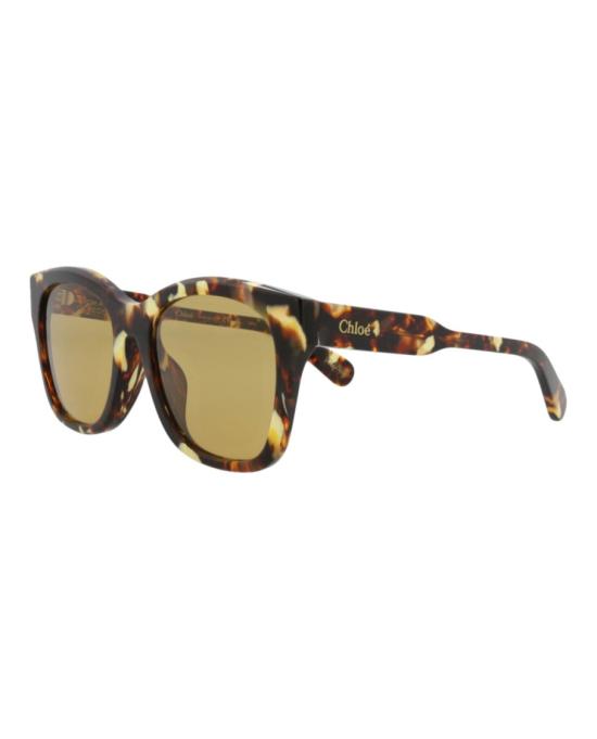 끌로에 선글라스 CH0194SK 30014684 004 20355 NS Brown - CHLOE