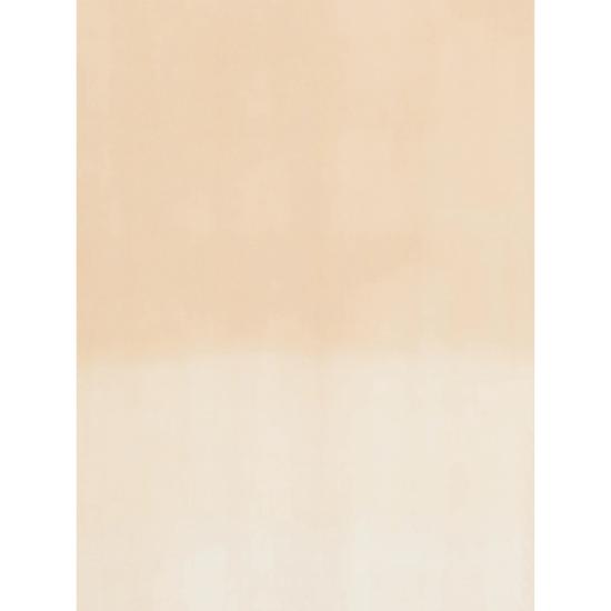 26SS 다니엘로 머플러/스카프 THOR 7045 1 NEUTRALS WHITE - D'ANIELLO