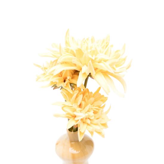 26SS 컬트 가이아 클러치/파우치 HDBCL34085AC36 DEE DEE MULTI NEUTRALS YELLOW - CULT GAIA