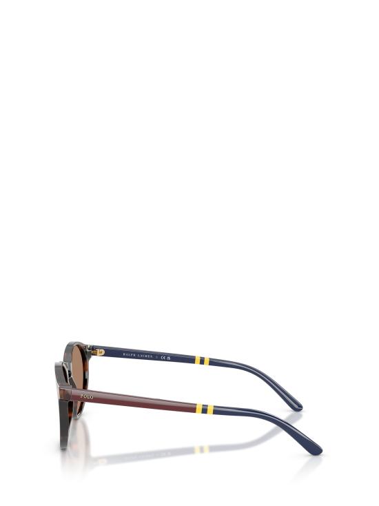 26FW 폴로 랄프로렌 선글라스 PH4236 500373 SHINY DARK HAVANA - POLO RALPH LAUREN