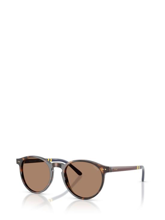 26FW 폴로 랄프로렌 선글라스 PH4236 500373 SHINY DARK HAVANA - POLO RALPH LAUREN