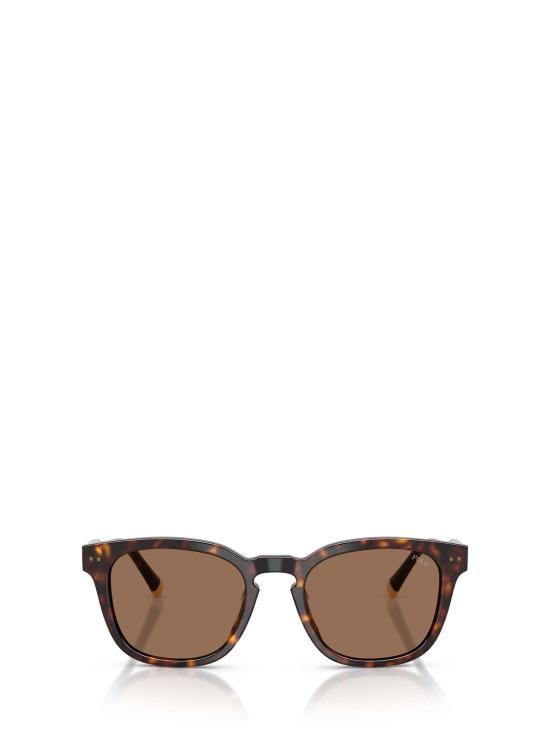 26FW 폴로 랄프로렌 선글라스 PH4242U 562573 SHINY HAVANA