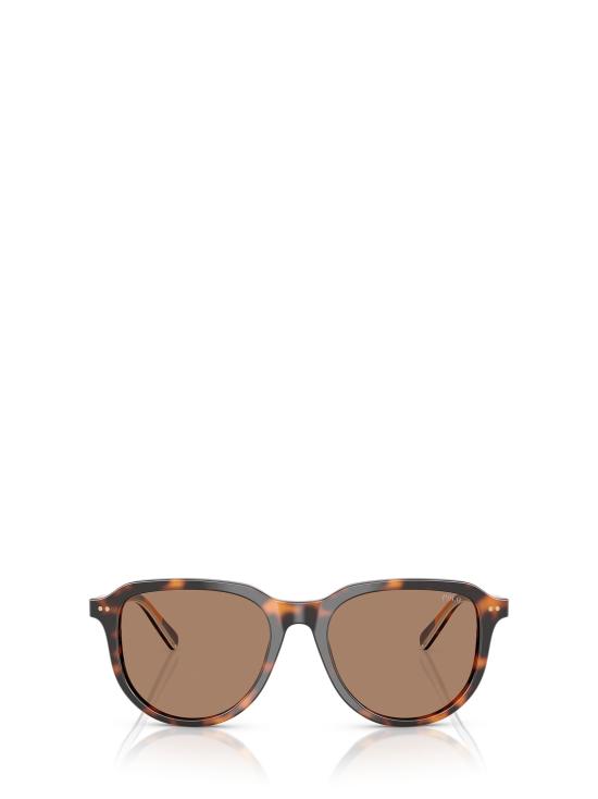 26FW 폴로 랄프로렌 선글라스 PH4225 613773 SHINY DARK HAVANA