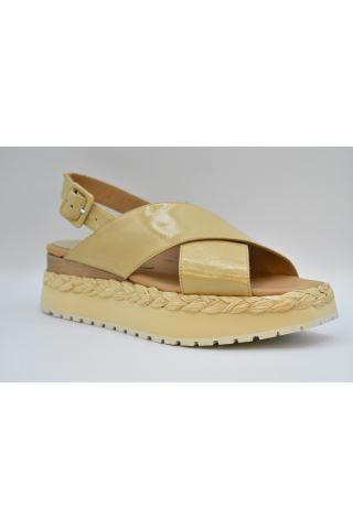  팔로마바르셀로 로퍼 2004 ANAMBEI LORY TORRONE - PALOMA BARCELO