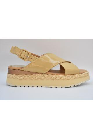  팔로마바르셀로 로퍼 2004 ANAMBEI LORY TORRONE