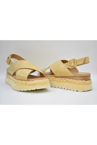  팔로마바르셀로 로퍼 2004 ANAMBEI LORY TORRONE - PALOMA BARCELO