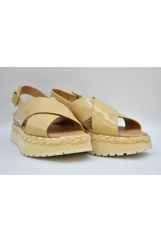  팔로마바르셀로 로퍼 2004 ANAMBEI LORY TORRONE - PALOMA BARCELO