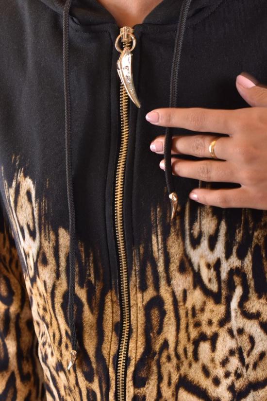  로베르토 카발리 스웨터 PKT69D 5OE75D0239 MULTICOLOR - ROBERTO CAVALLI