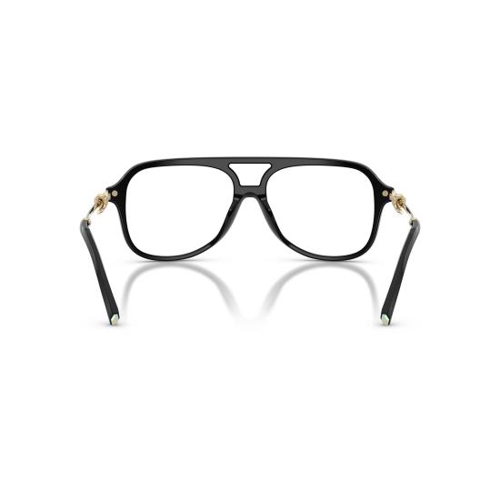 26SS 티파니앤코 선글라스 0TF2283 8001 - TIFFANY & CO